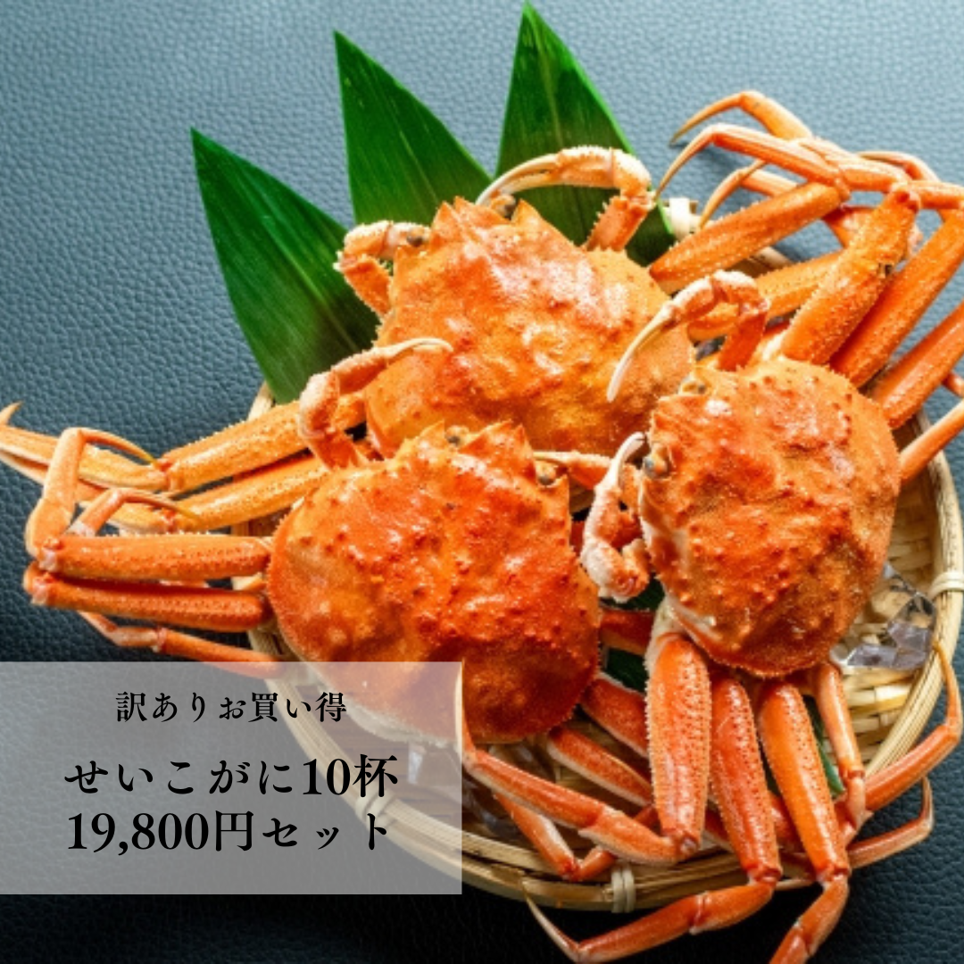 訳ありお買い得 せいこがに10杯 19,800円セット