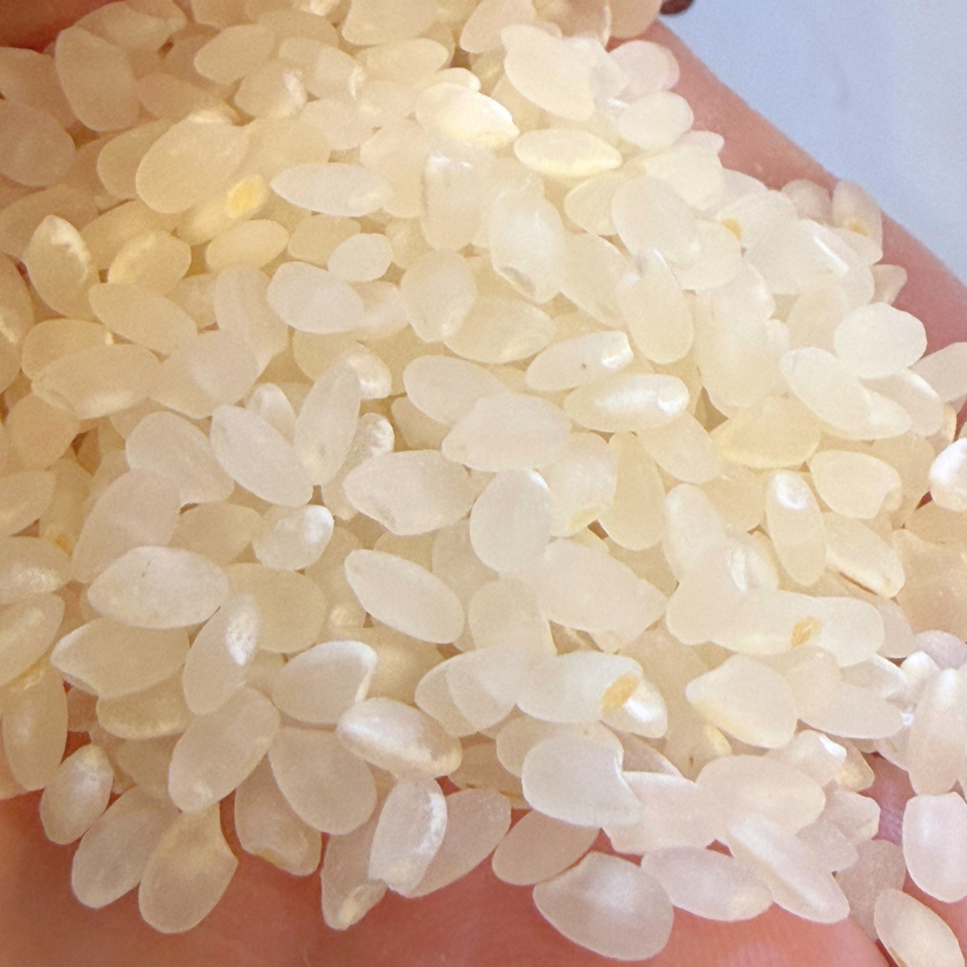 ピカツンタ　5キロ