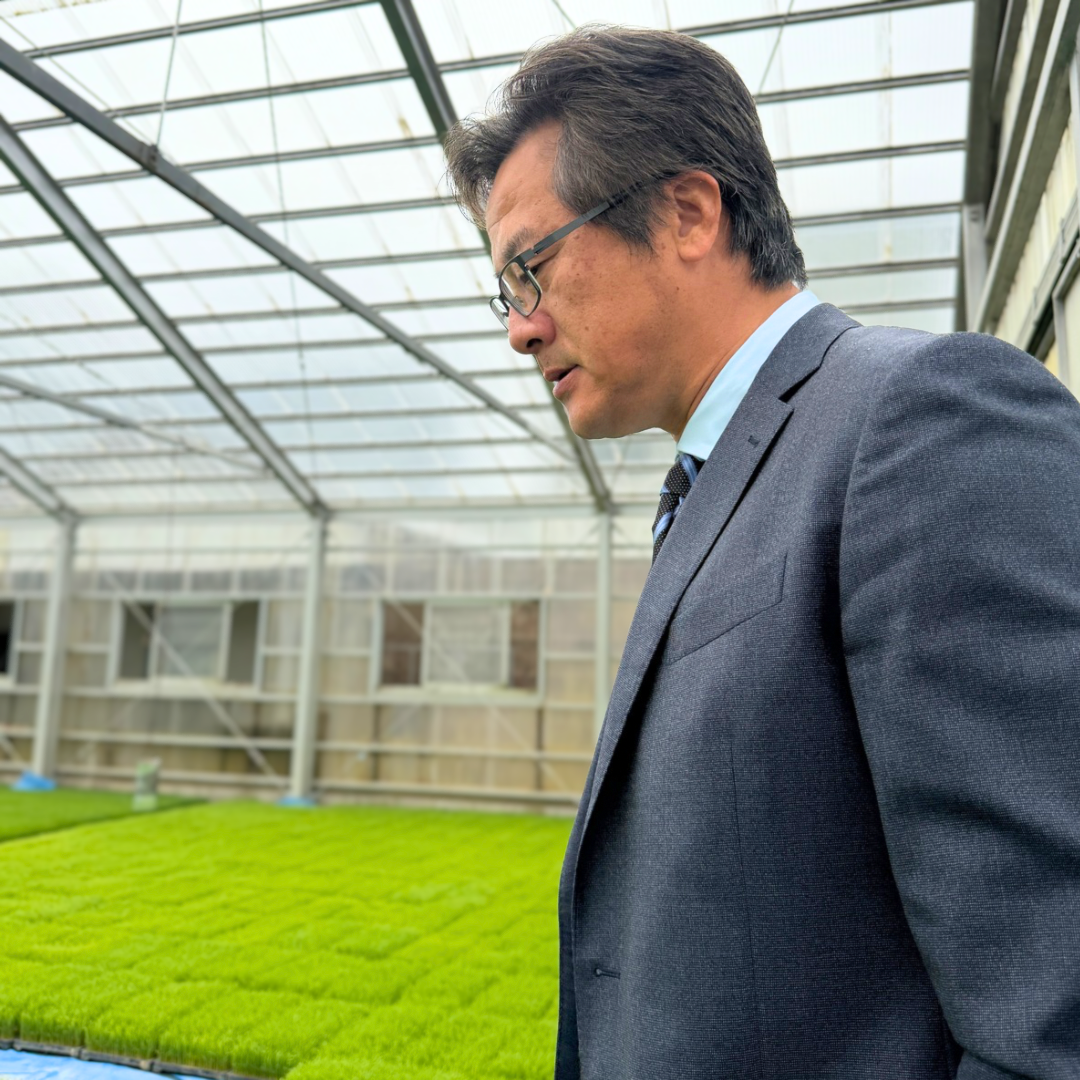 コシヒカリ　10キロ