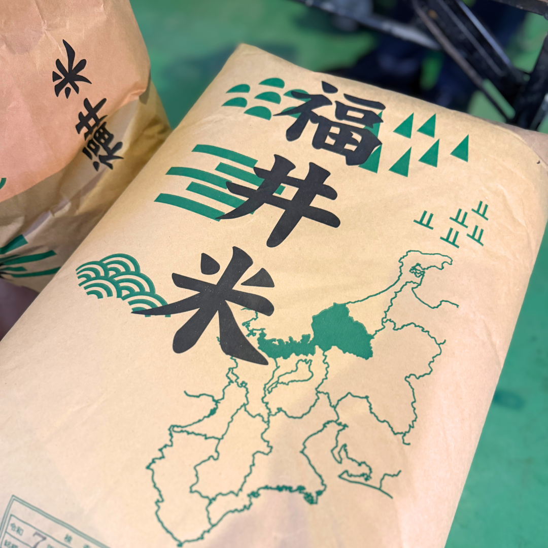 コシヒカリ　5キロ