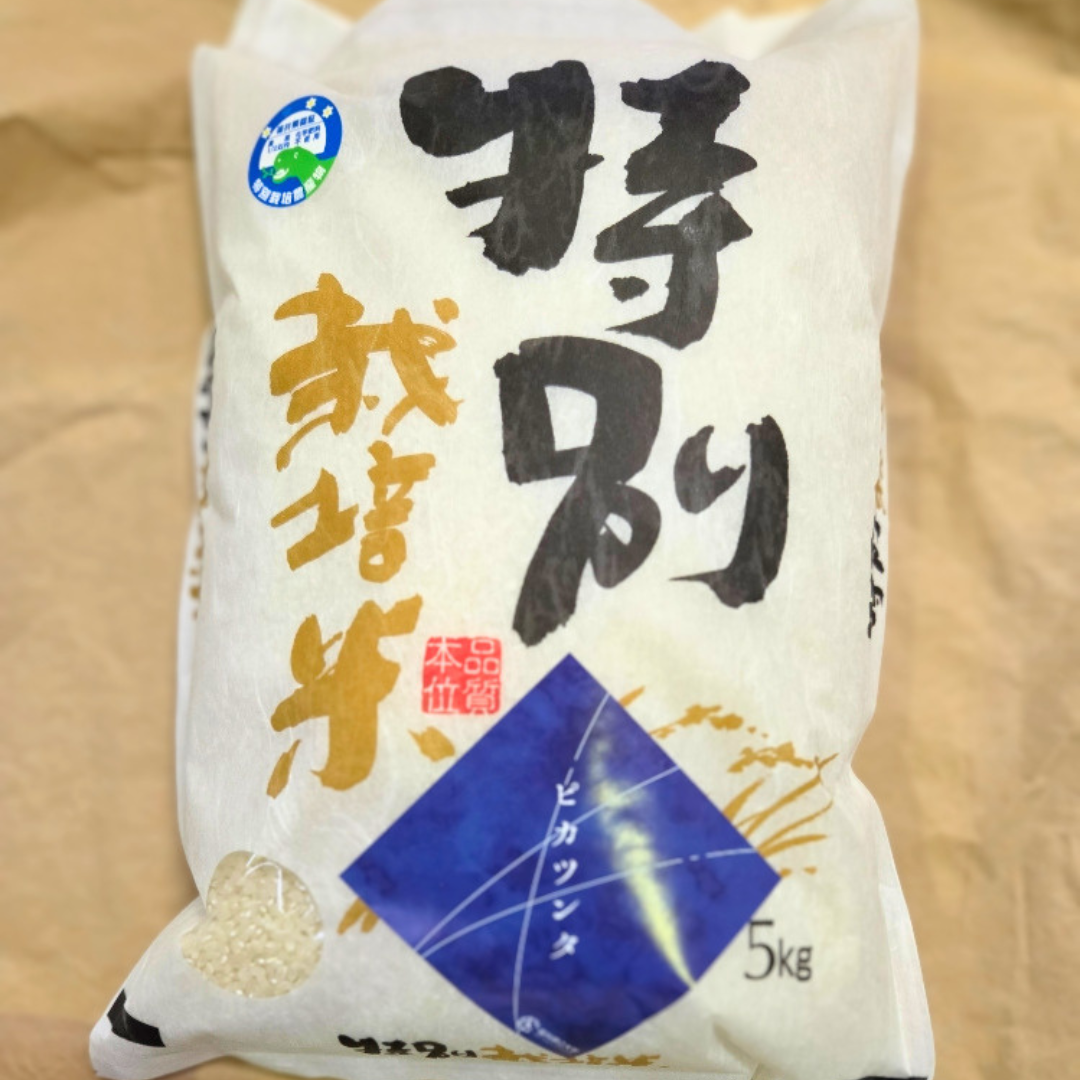 中垣内祐一が作るピカツンタ　5キロ