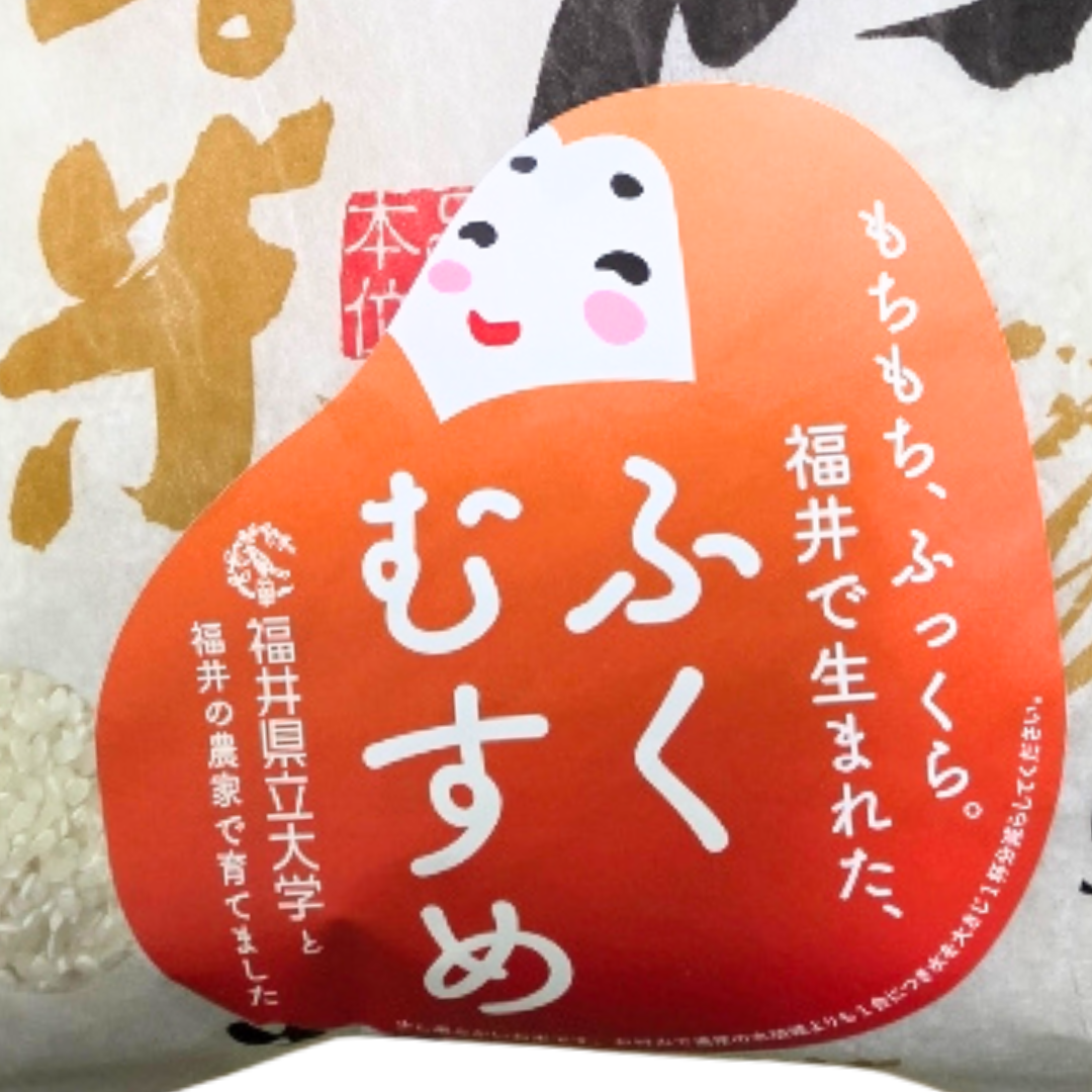 ふくむすめ　10キロ