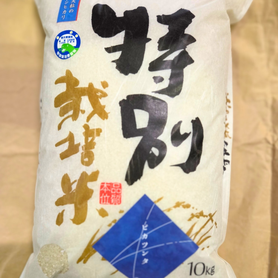 中垣内祐一が作るピカツンタ　10キロ