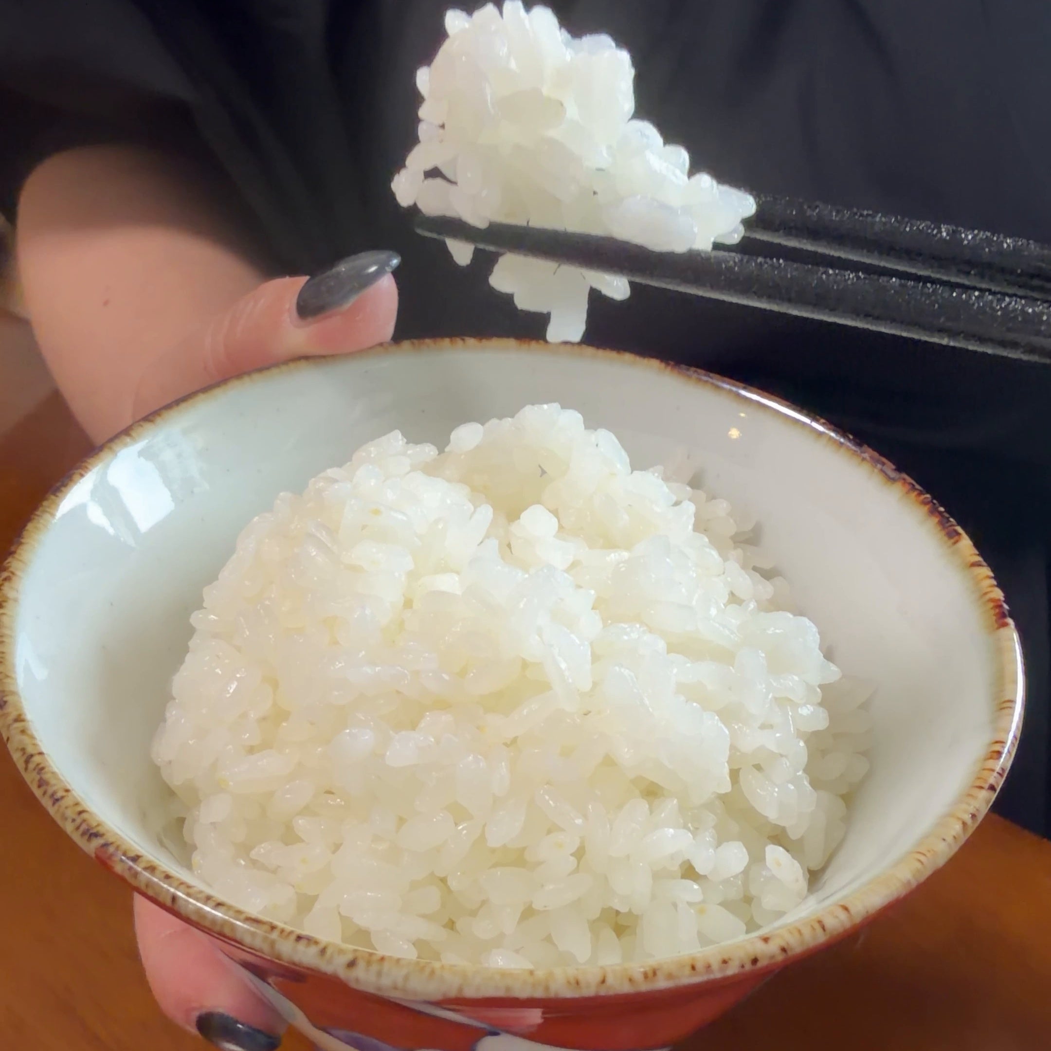 コシヒカリ新米5㎏ 越前白山の恵み