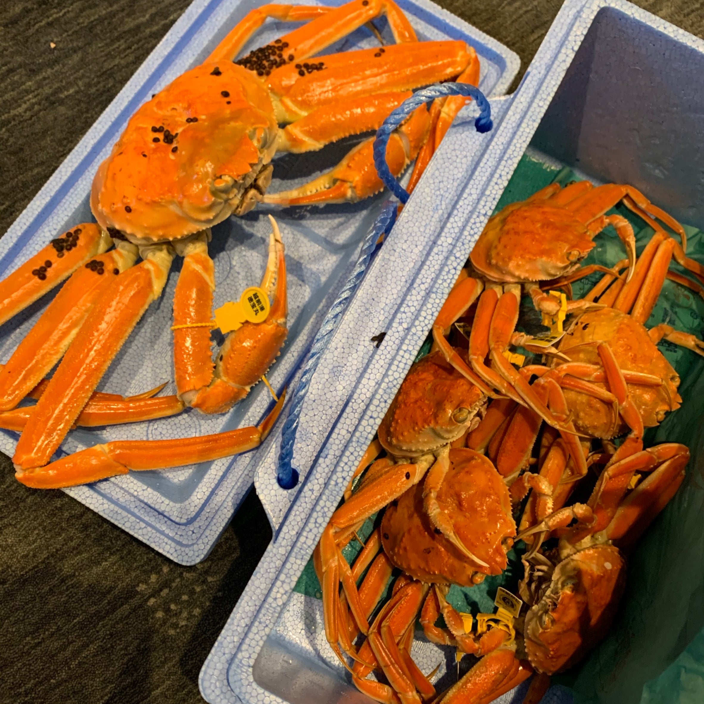 越前がに 99,800円セット