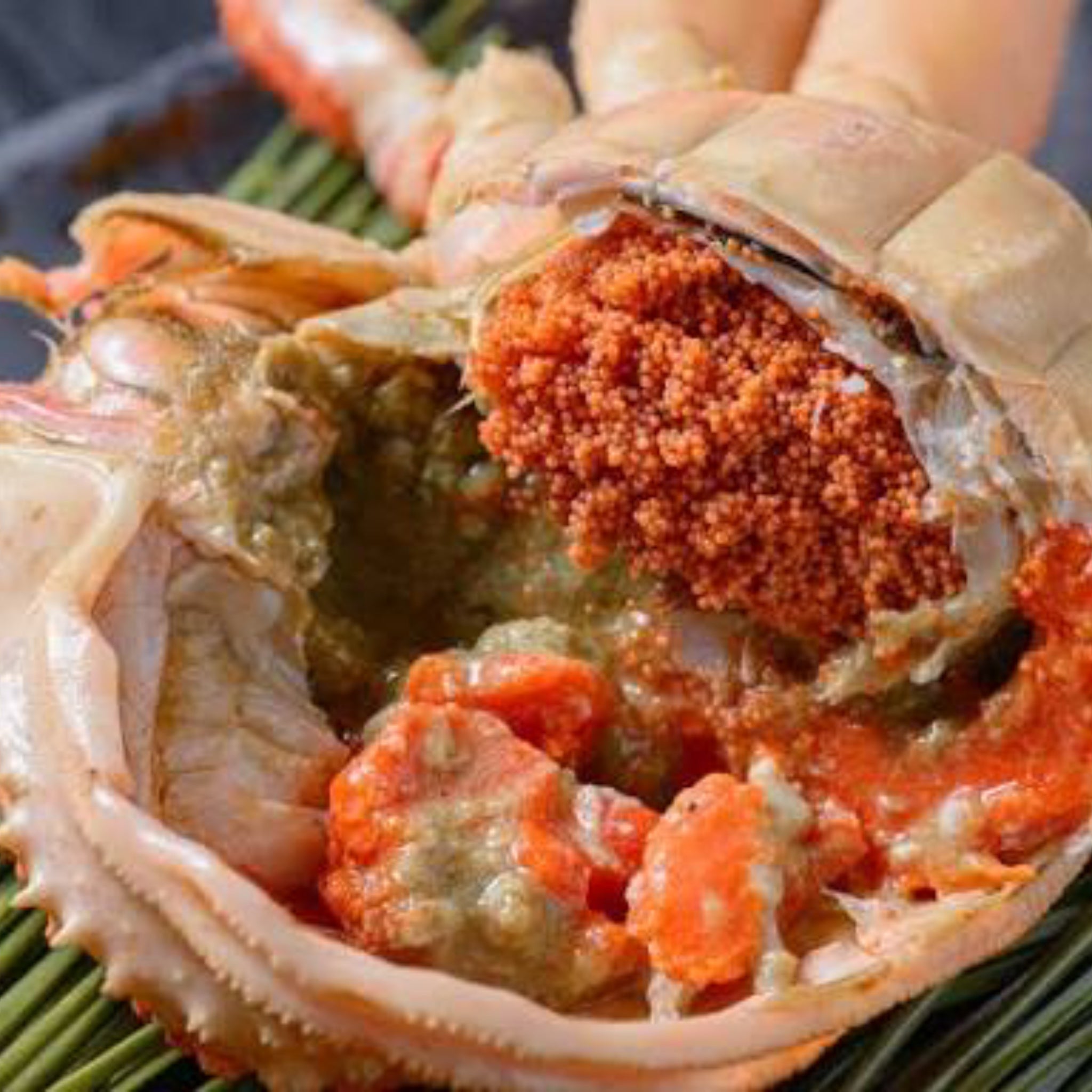 越前がに 99,800円セット